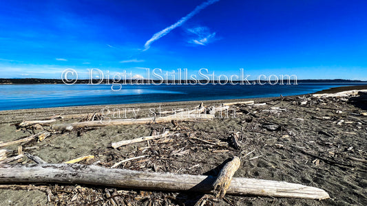 Abandoned logs on the Beach - Vashon Island, digital Vashon Island