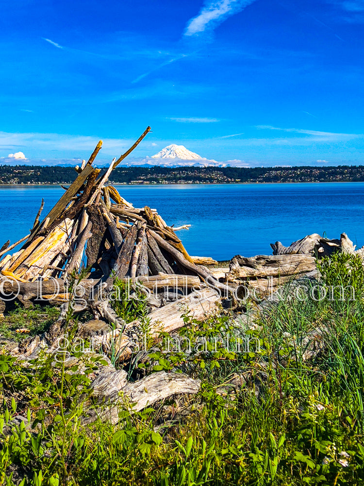 Natural triangles - Vashon Island, digital Vashon Ilsland