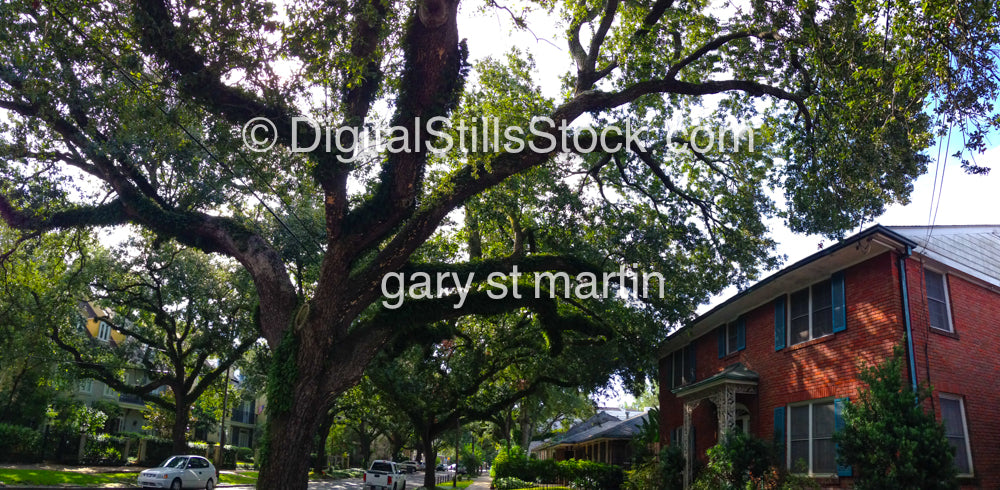 In New Orleans, Digital