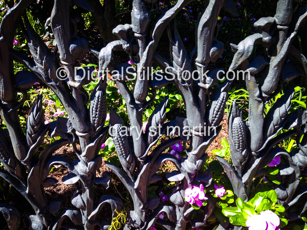 Closeup Of Corn Fence, New Orleans, Digital