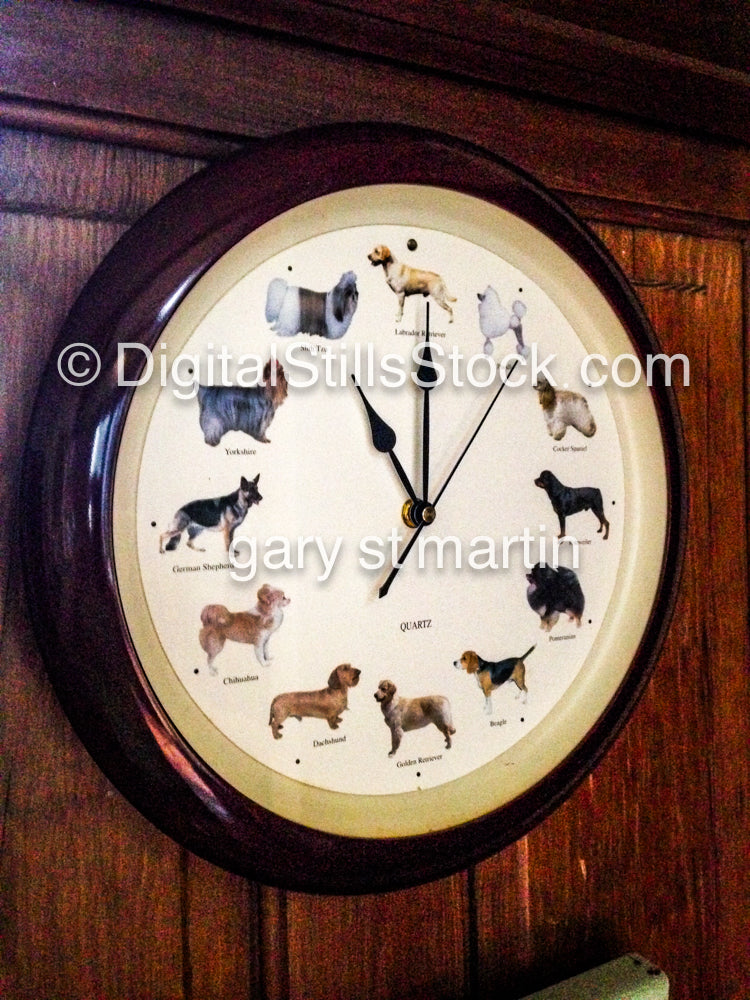 Animal Clock, New Orleans, Digital
