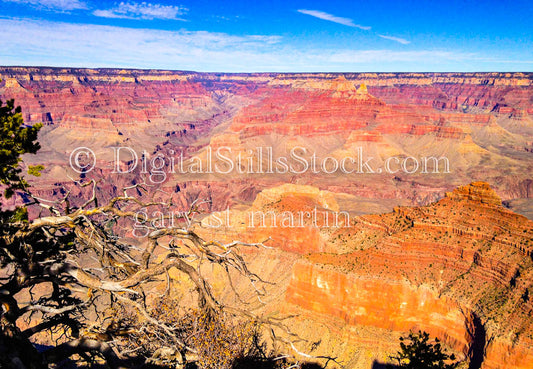 Inside Canyon View Dead Foliage Foreground, Digital, Arizona, Grand Canyon