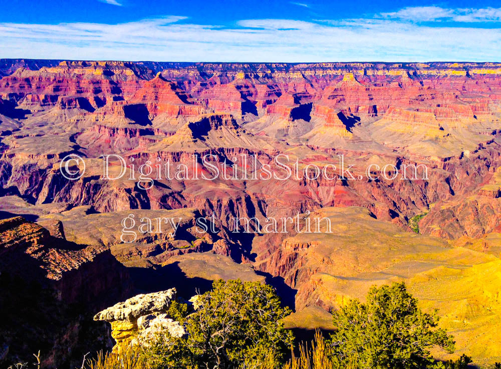 Multi Mesa, foliage foreground, Digital, Arizona, Grand Canyon