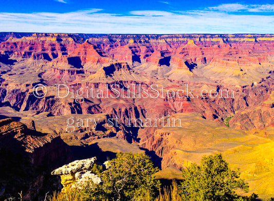 Multi Mesa, foliage foreground, Digital, Arizona, Grand Canyon