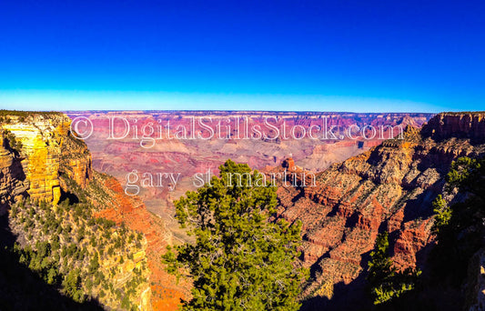 Foliage covered Valley, Digital, Arizona, Grand Canyon