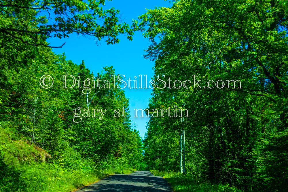 Going down the luscious green road, digital Copper Harbor