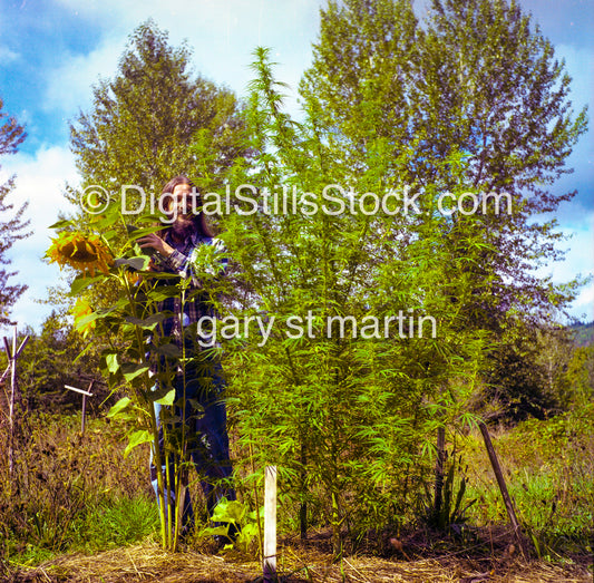 Gary and his pot plants, McKenzie Bridge, Oregon, analog, color, portraits, men