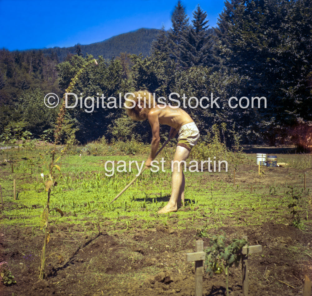 Bill Goodpastuer, Gardening, McKenzie Bridge, Oregon, analog, color, portraits, men