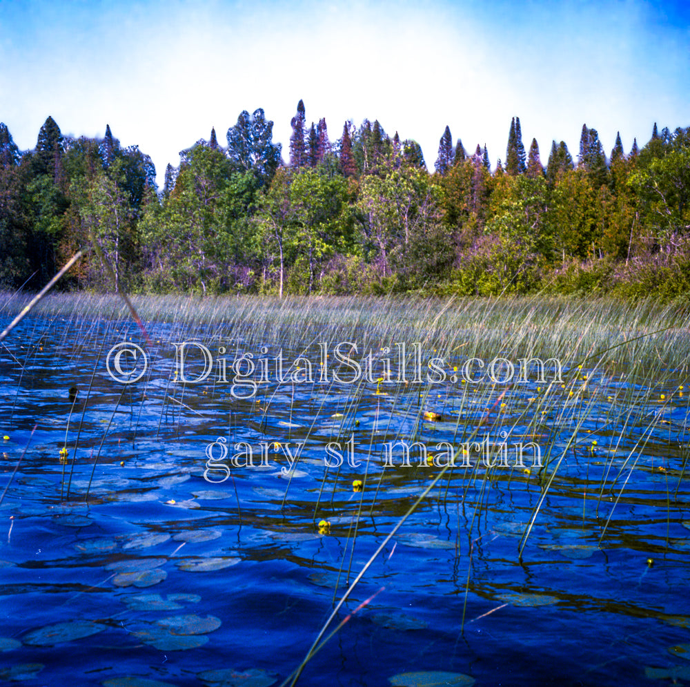 Lake, UP Michigan, Analog, Color, Michigan