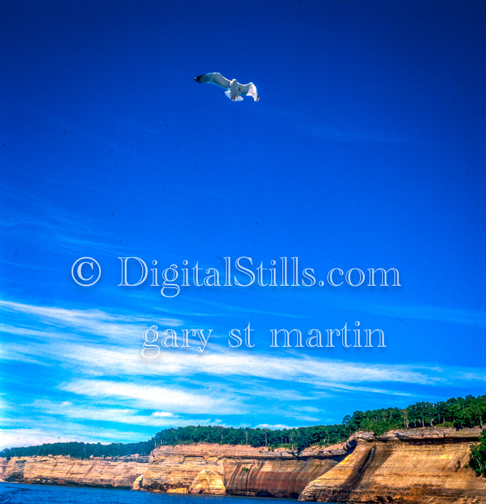 Seagulls in the sky, Pictured Rocks, Munising., UP Michigan, Analog, Color, Michigan