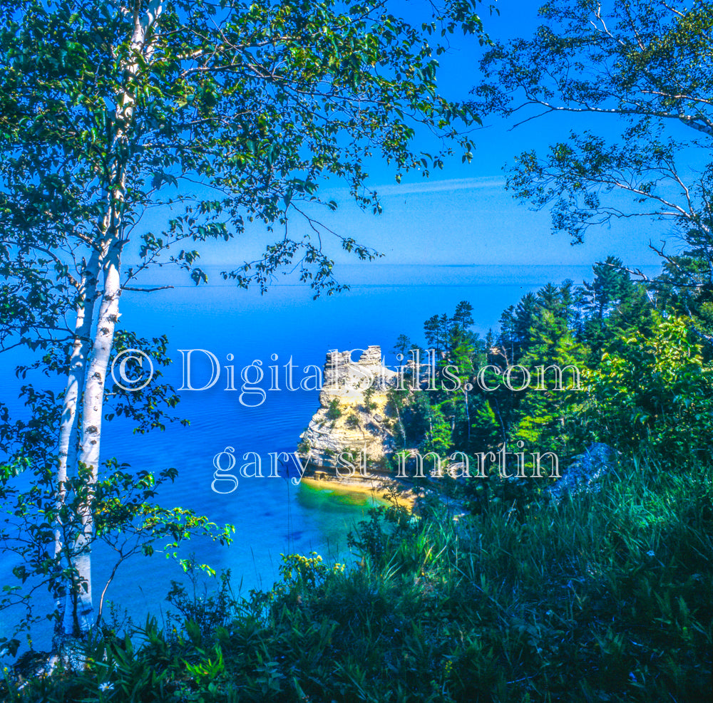 Birch Tree, Castle Rock Side View, Munising., UP Michigan, Analog, Color, Michigan