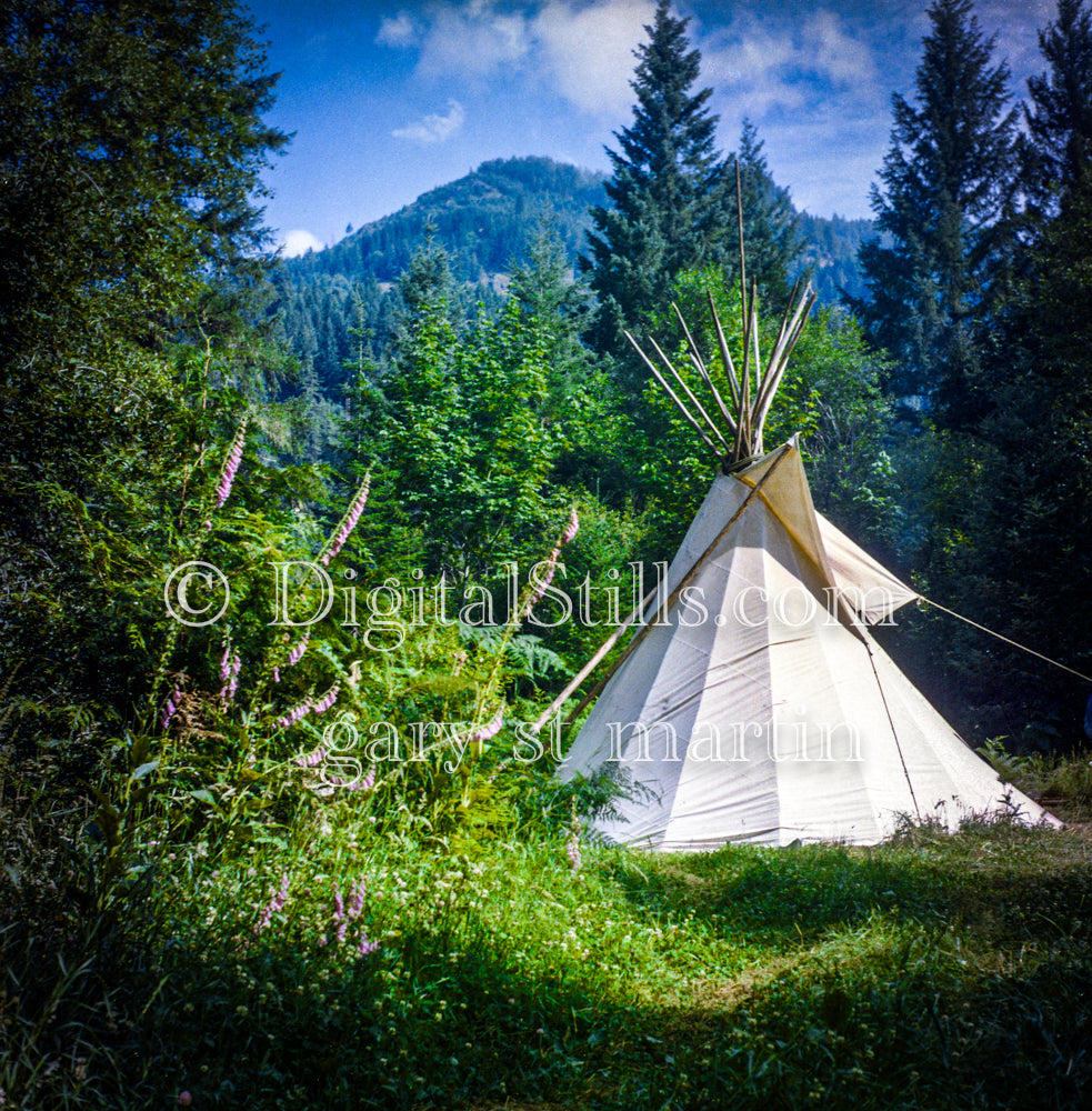 Tipi in the woods, analog, Oregon