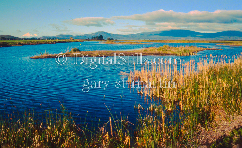 View of Lassen Peak from Lake Ewauna, Oregon, analog