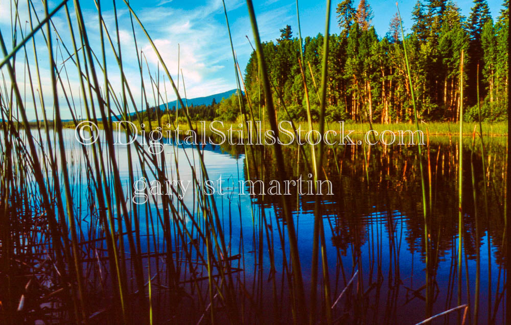 View of Klamath Lake Edge and Peak through Reeds, Digital, Oregon