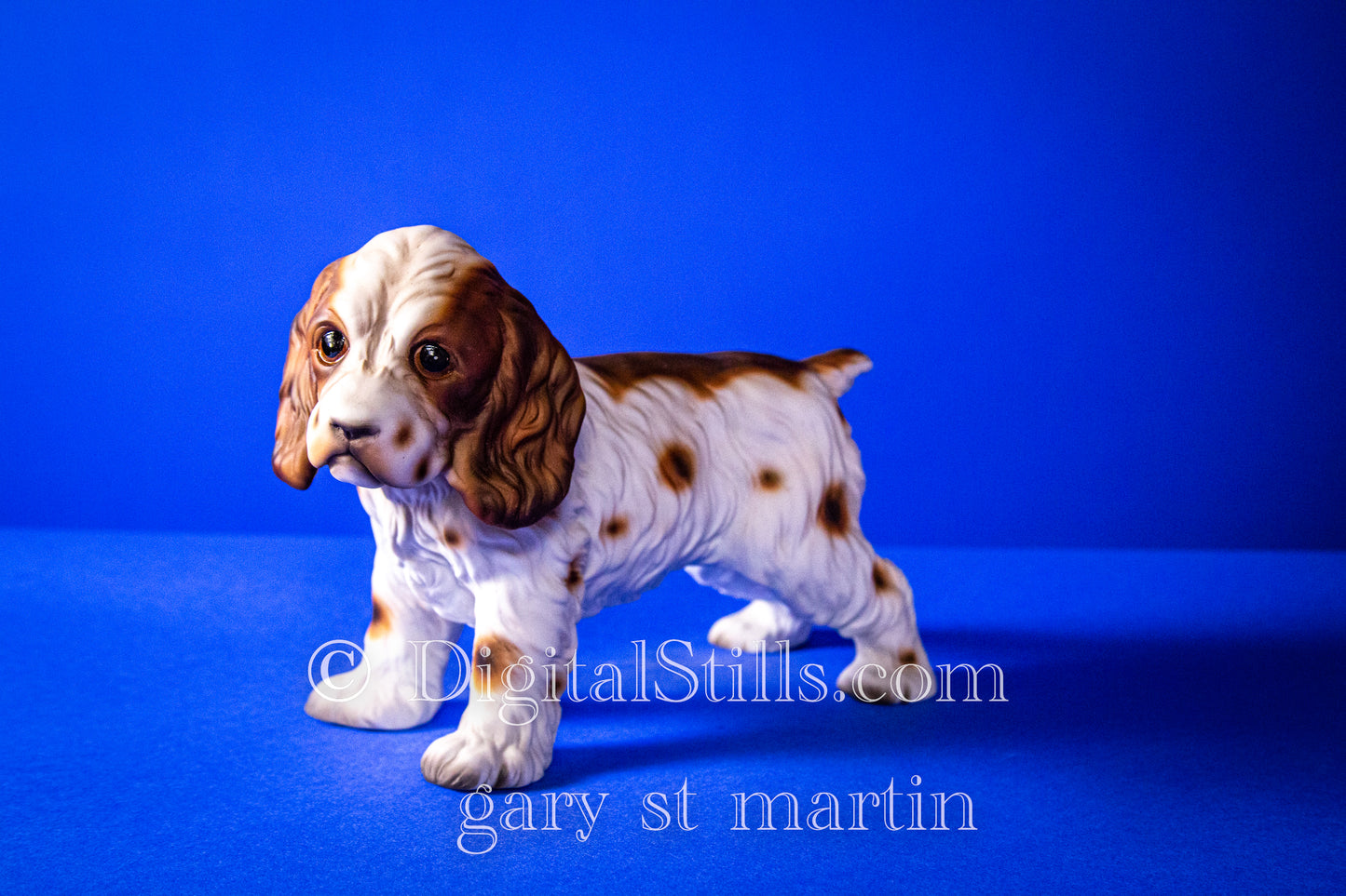 Pup In The Blue