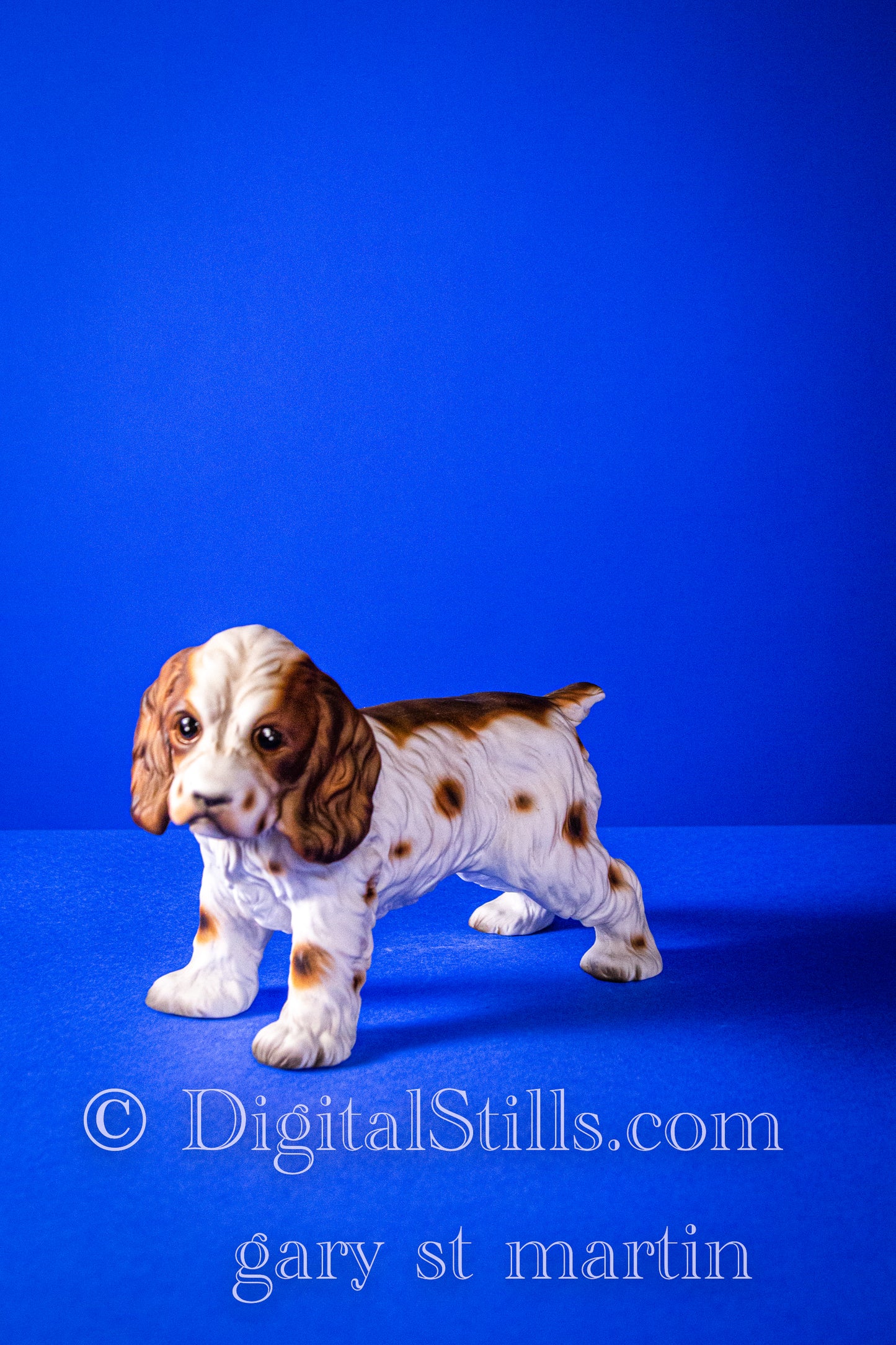 Pup In The Blue