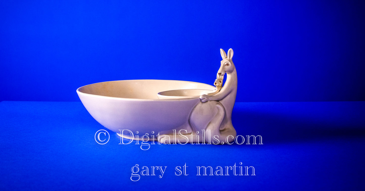 Bowl For Two In The Blue