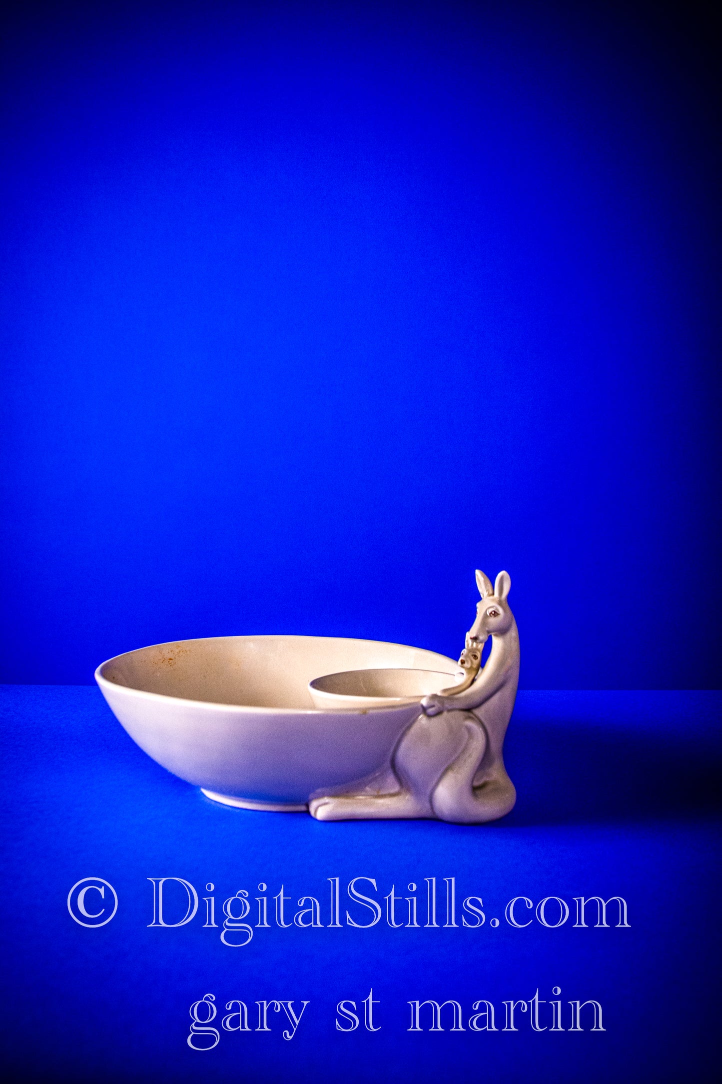 Bowl For Two In The Blue