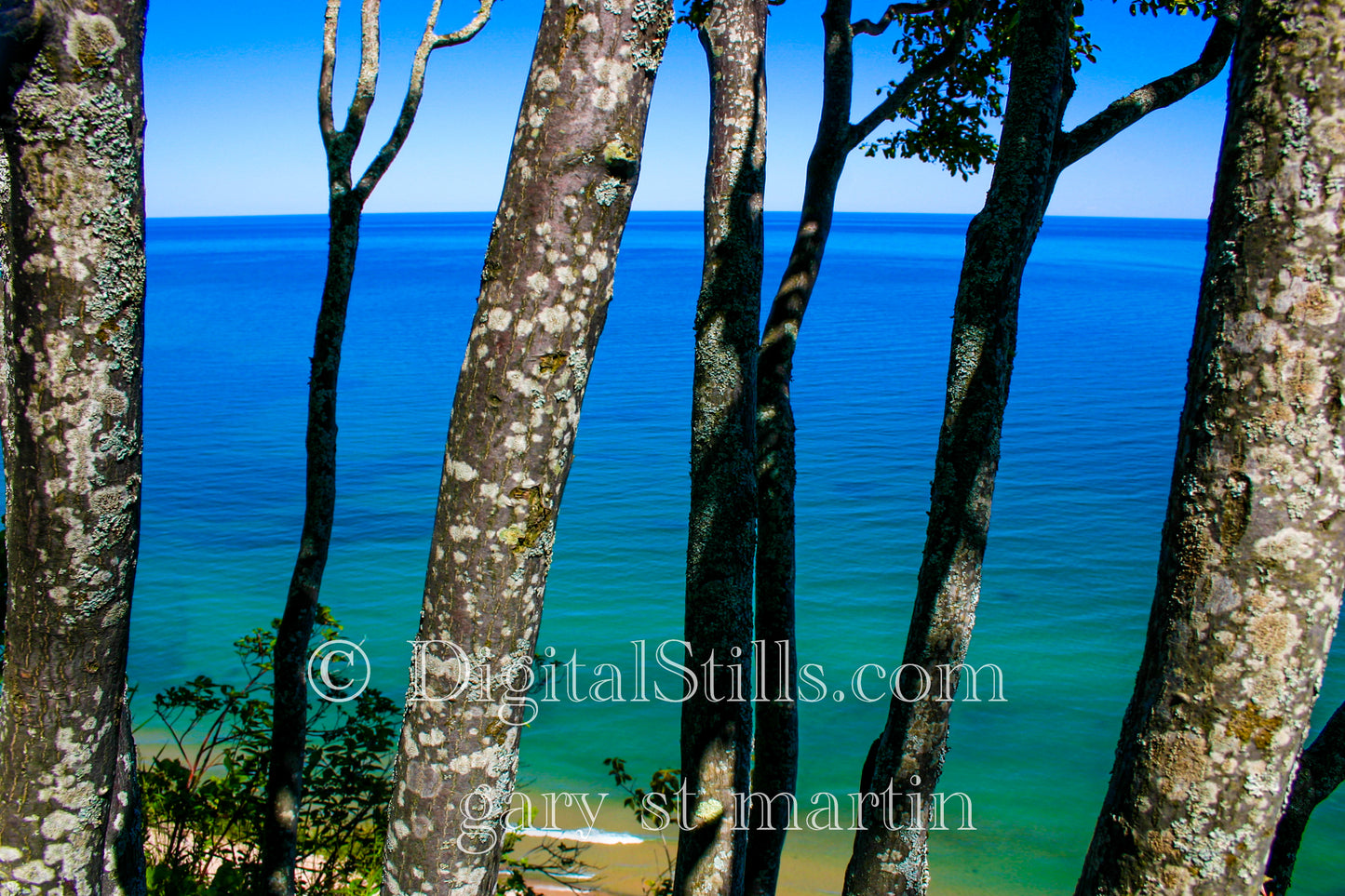 Looking Through Lake Superior