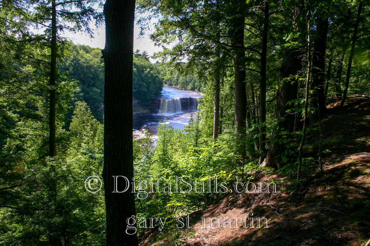 The Trail to Tahquamenon Falls