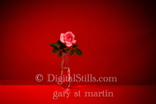 Rose Red