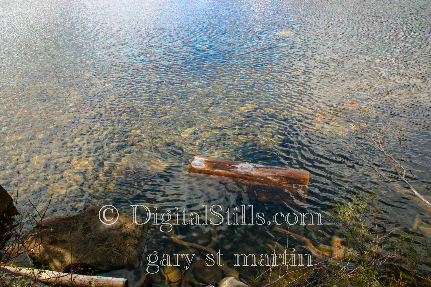 Reflection of Mckenzie River, Digital, Oregon
