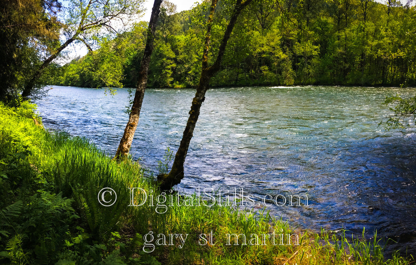 Mackenzie River, Oregon, Digital, Oregon