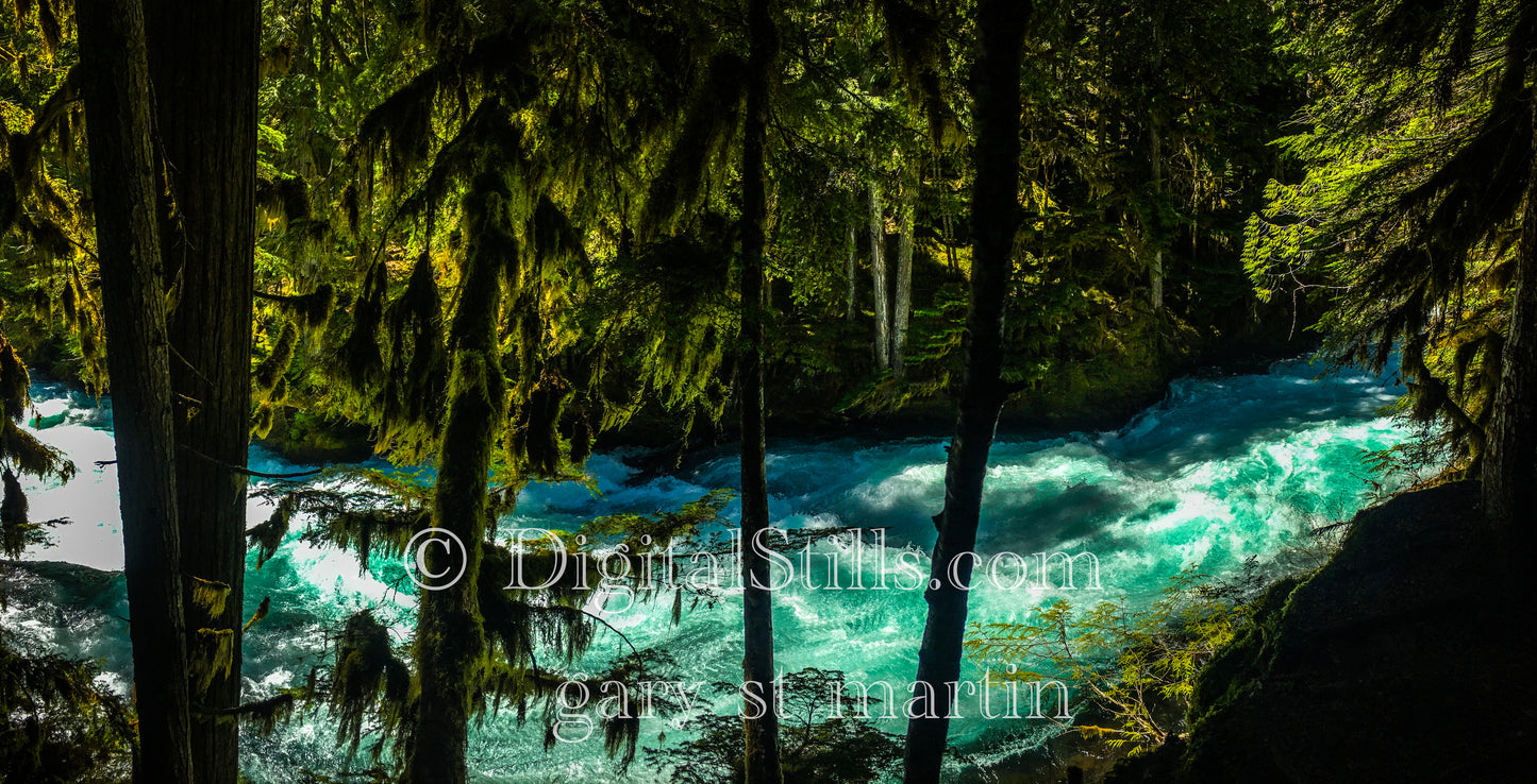 Along the McKenzie River, Digital, Oregon