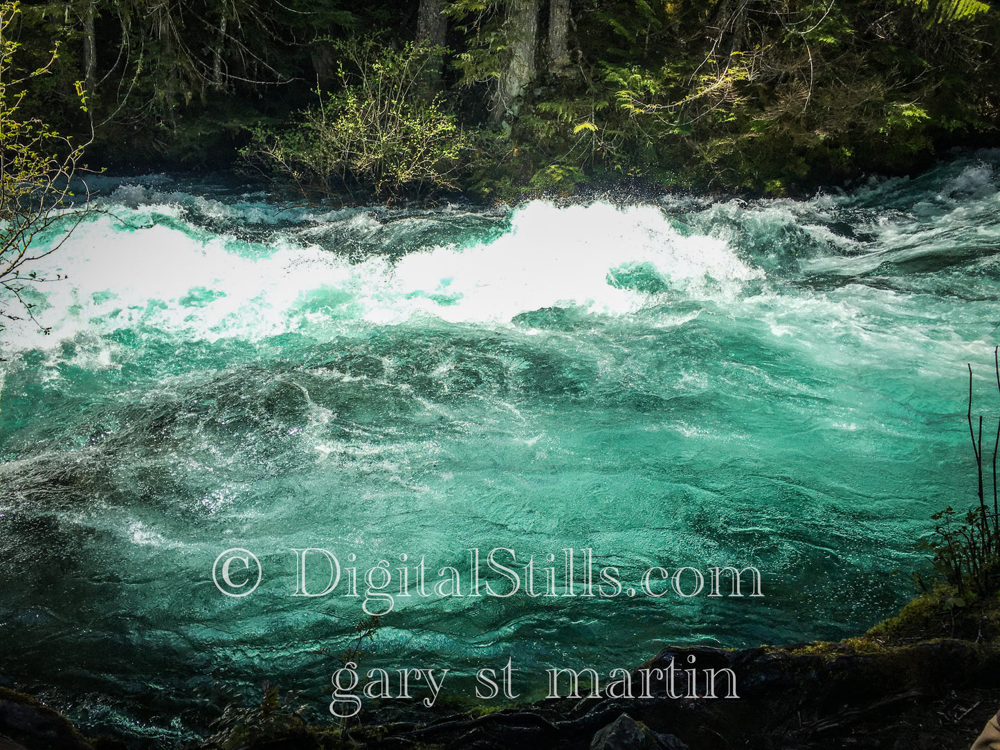 Into the Blue of the McKenzie River, Digital, Oregon