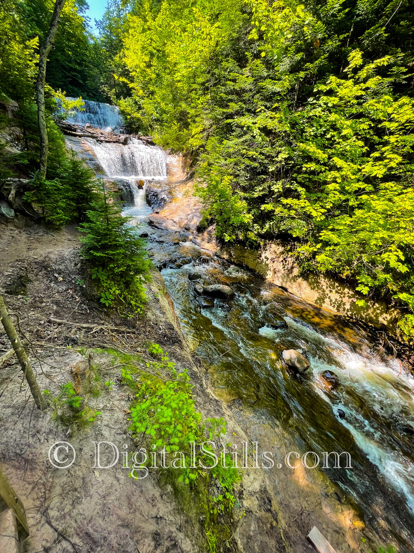 Along Sable Falls
