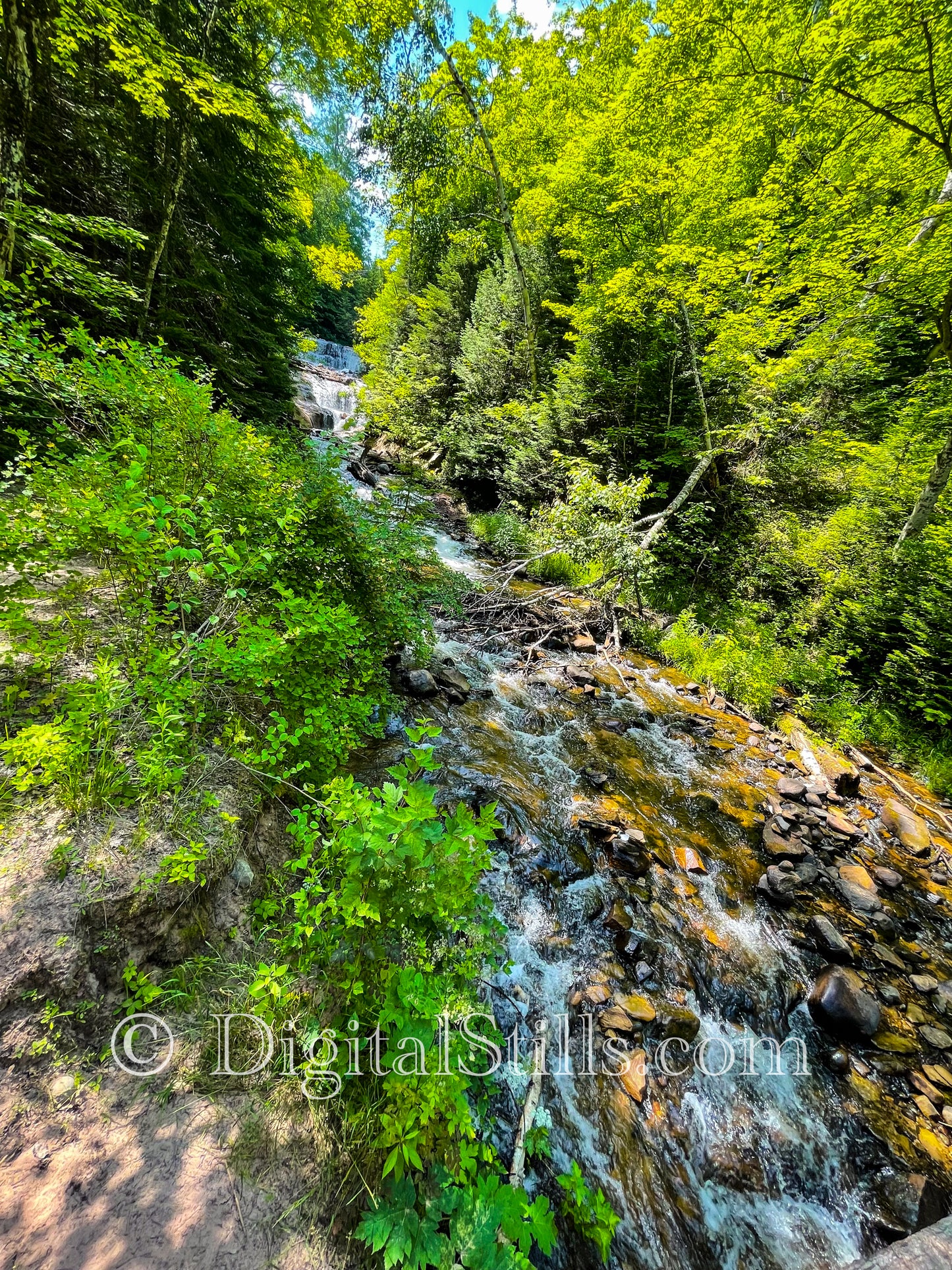 Sable Falls in Motion