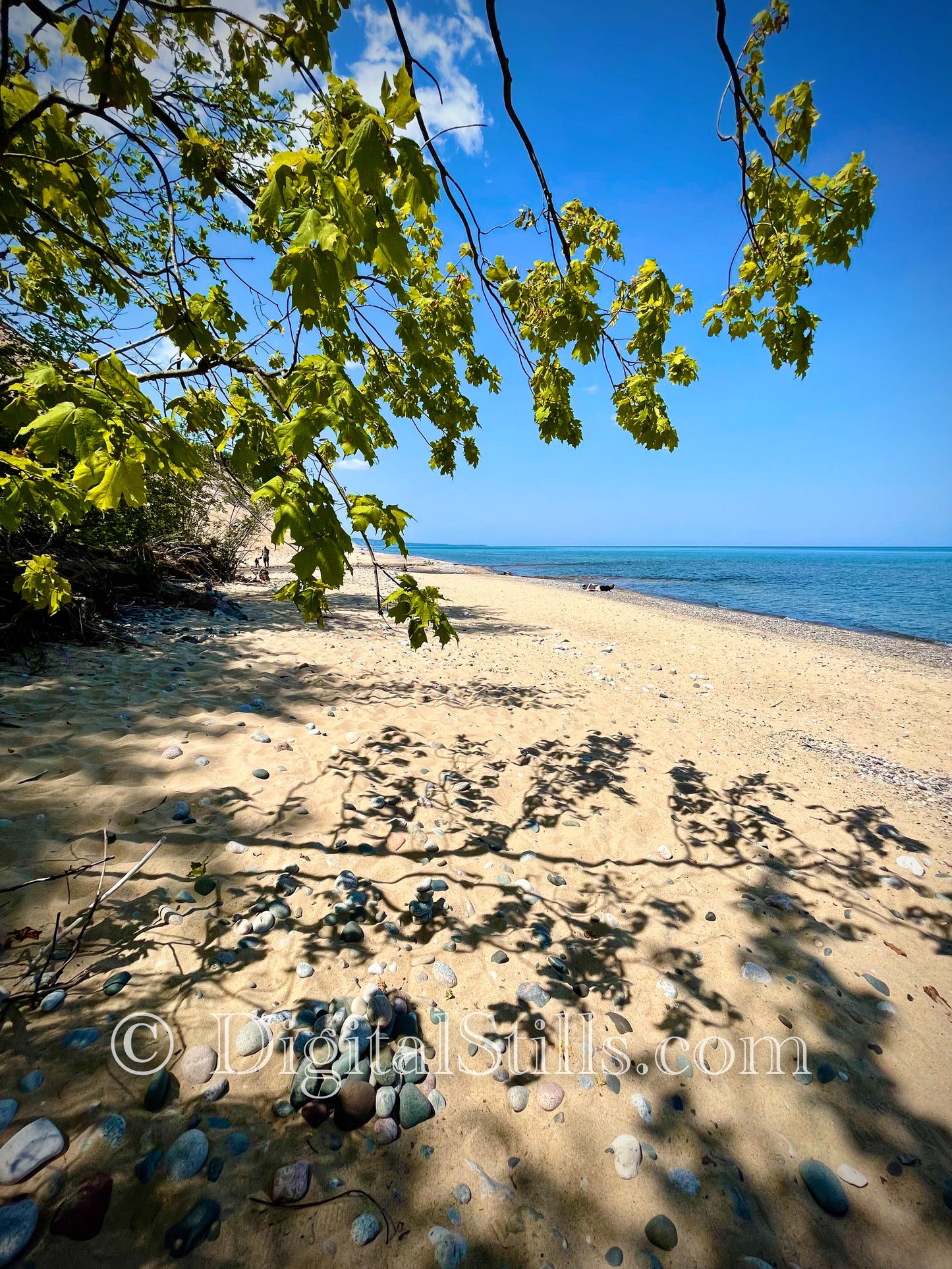 In the Shade at Sable Beach