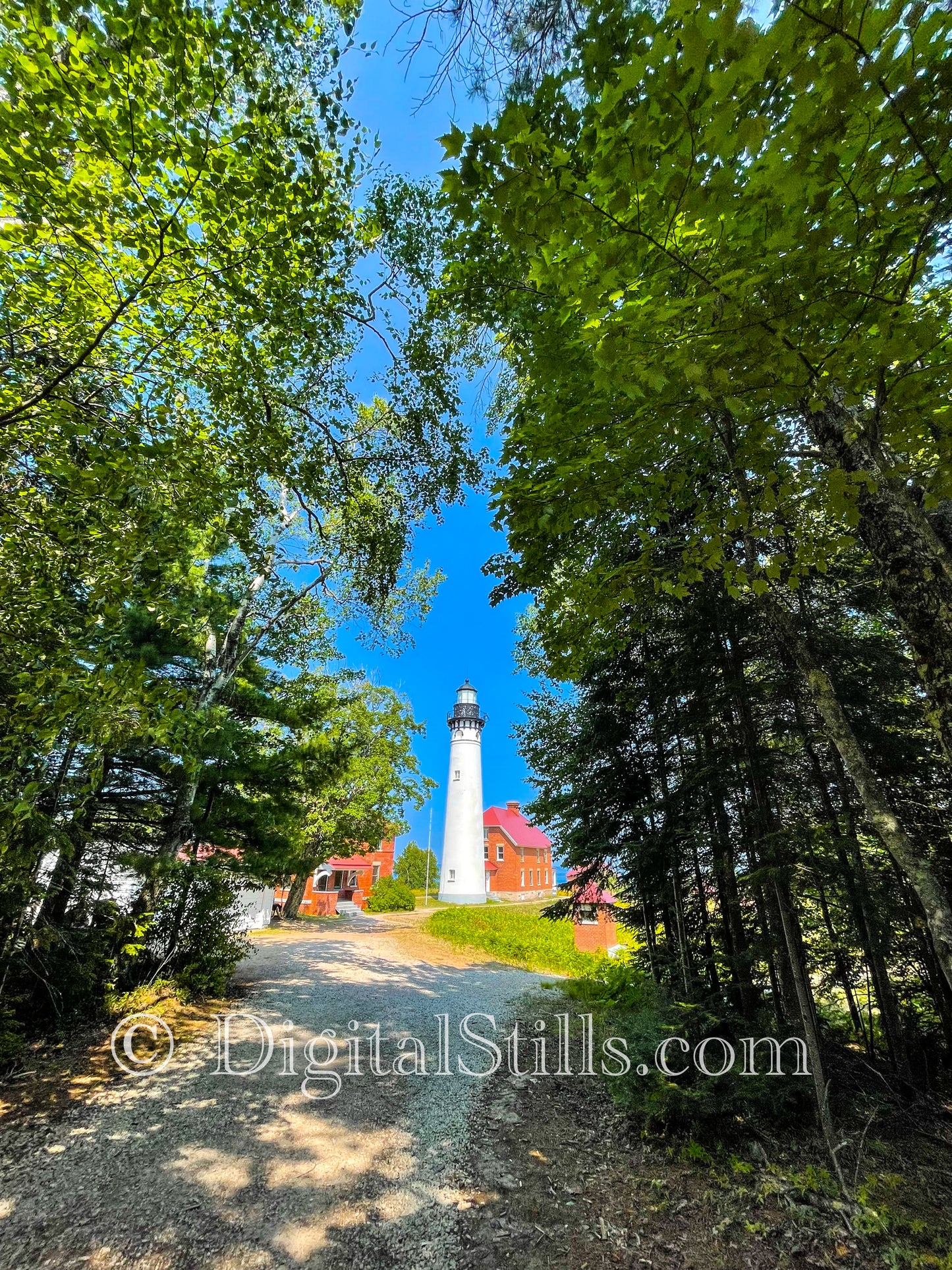 Heading Toward the Lighthouse