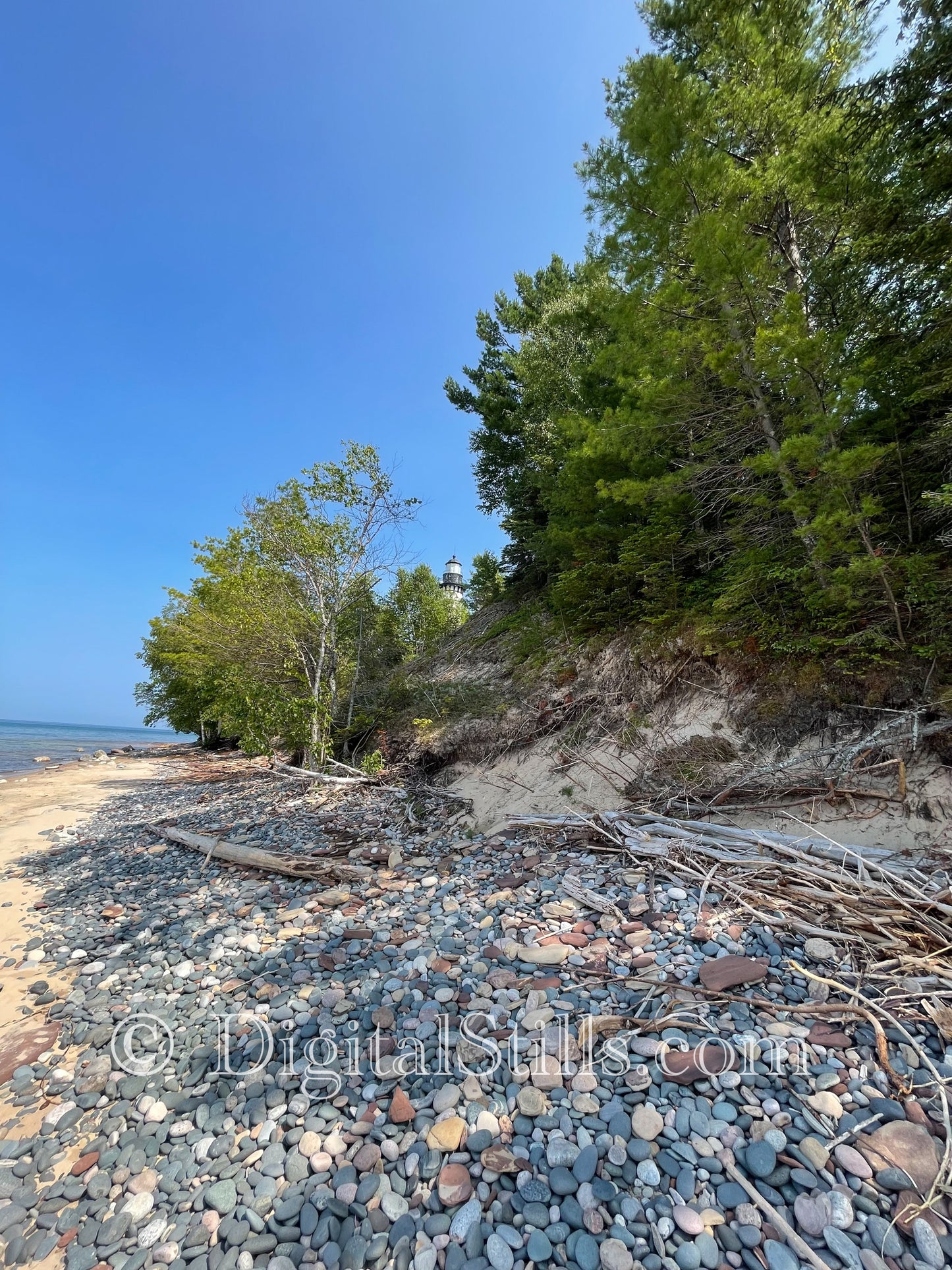 Rocky Shoreline