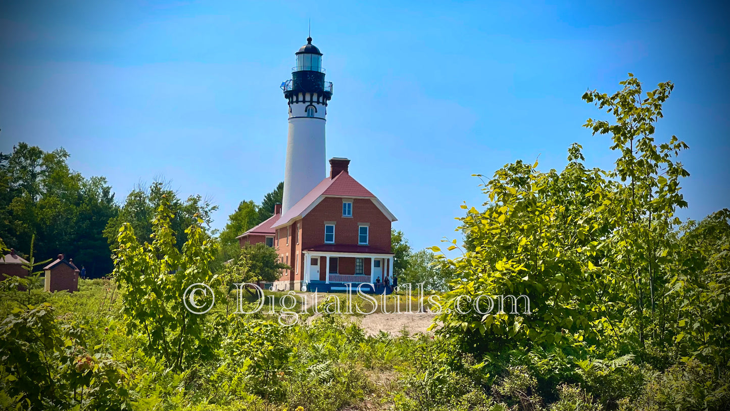 Summertime at the Lighthouse