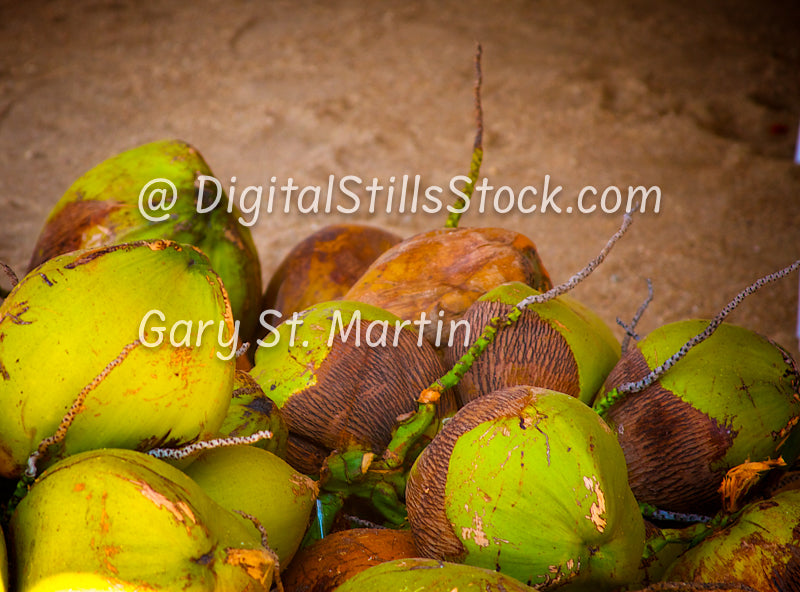 Yelapa- 13 Coconuts, Digital, Yelapa, Mexico