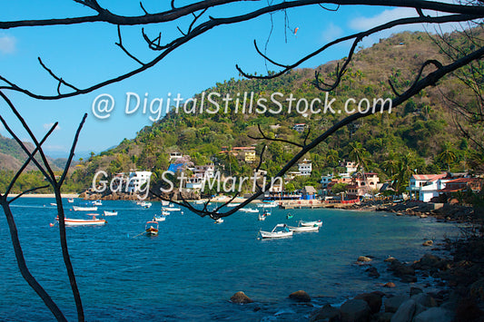 The Village Through the Branches, Yelapa, Mexico, digital