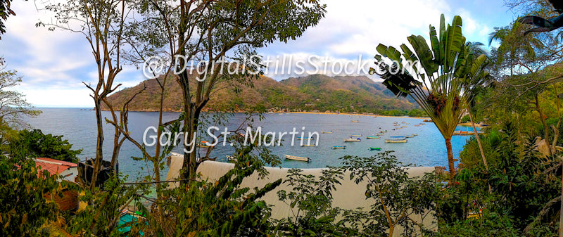 View through the Trees of the Harbor, Yelapa, Mexico, digital