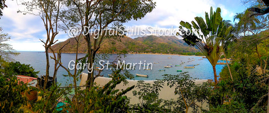 View through the Trees of the Harbor, Yelapa, Mexico, digital