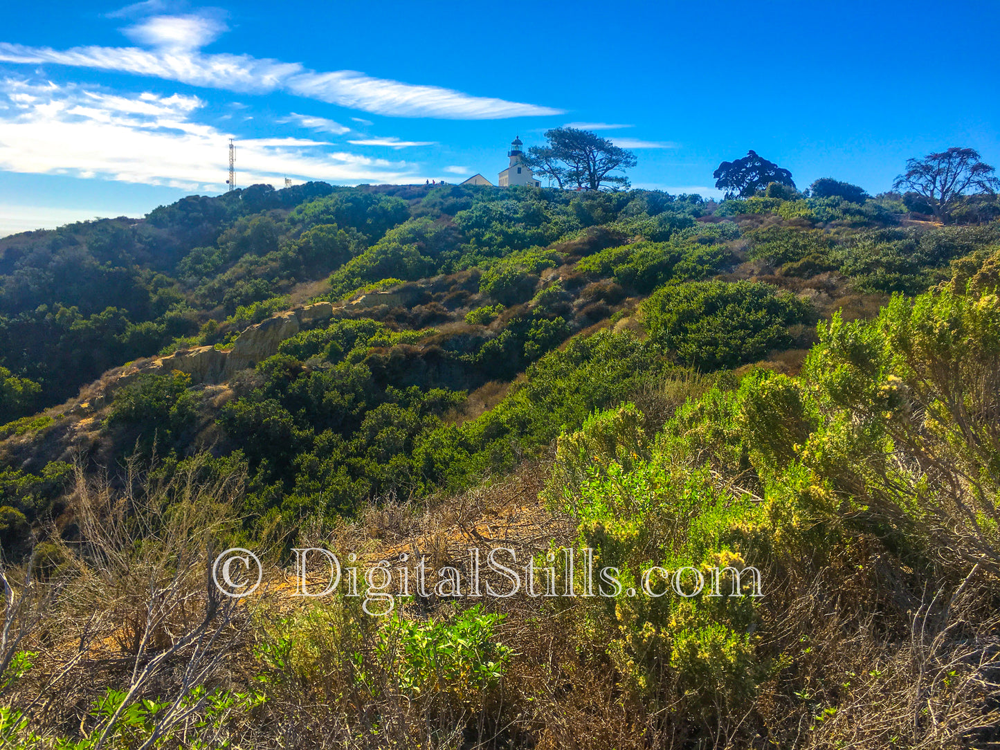 Cabrillo National Monument On the hill