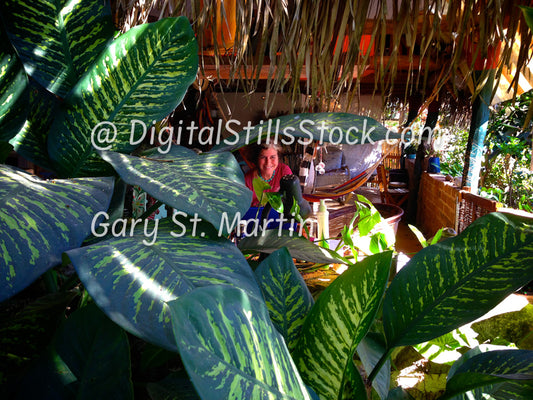 Yelapa, Women In The Ferns, Yelapa, Mexico, digital