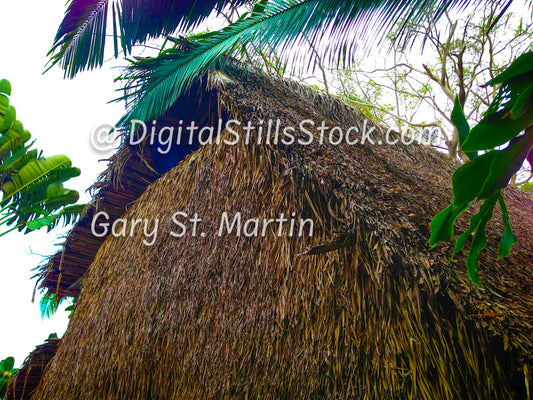 Thatched Roof, Yelapa House, Yelapa, Mexico, digital