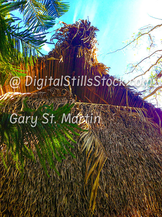 Yelapa, Thatched House Made from Palm, Digital, Mexico, Yalapa