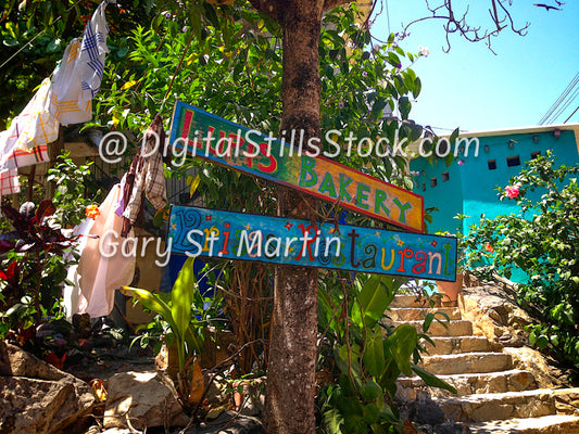 Signs on a Tree, Yelapa, Mexico, digital
