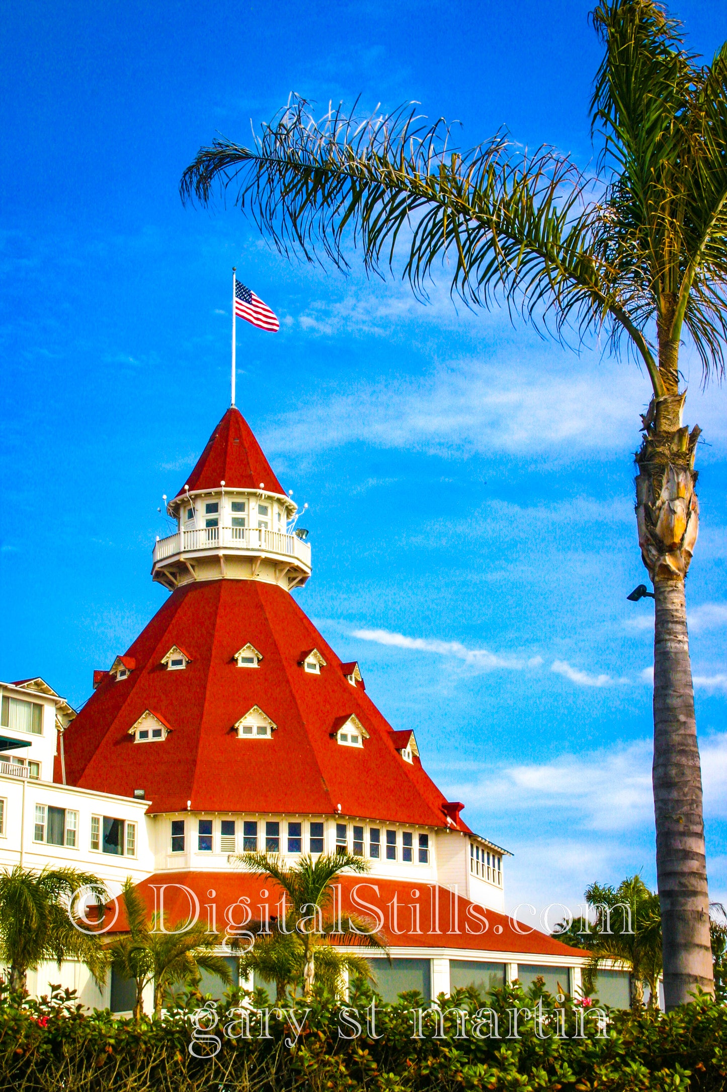 Hotel Del Along the Palm