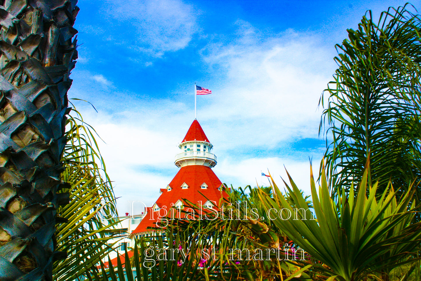 Hotel Del Surrounded