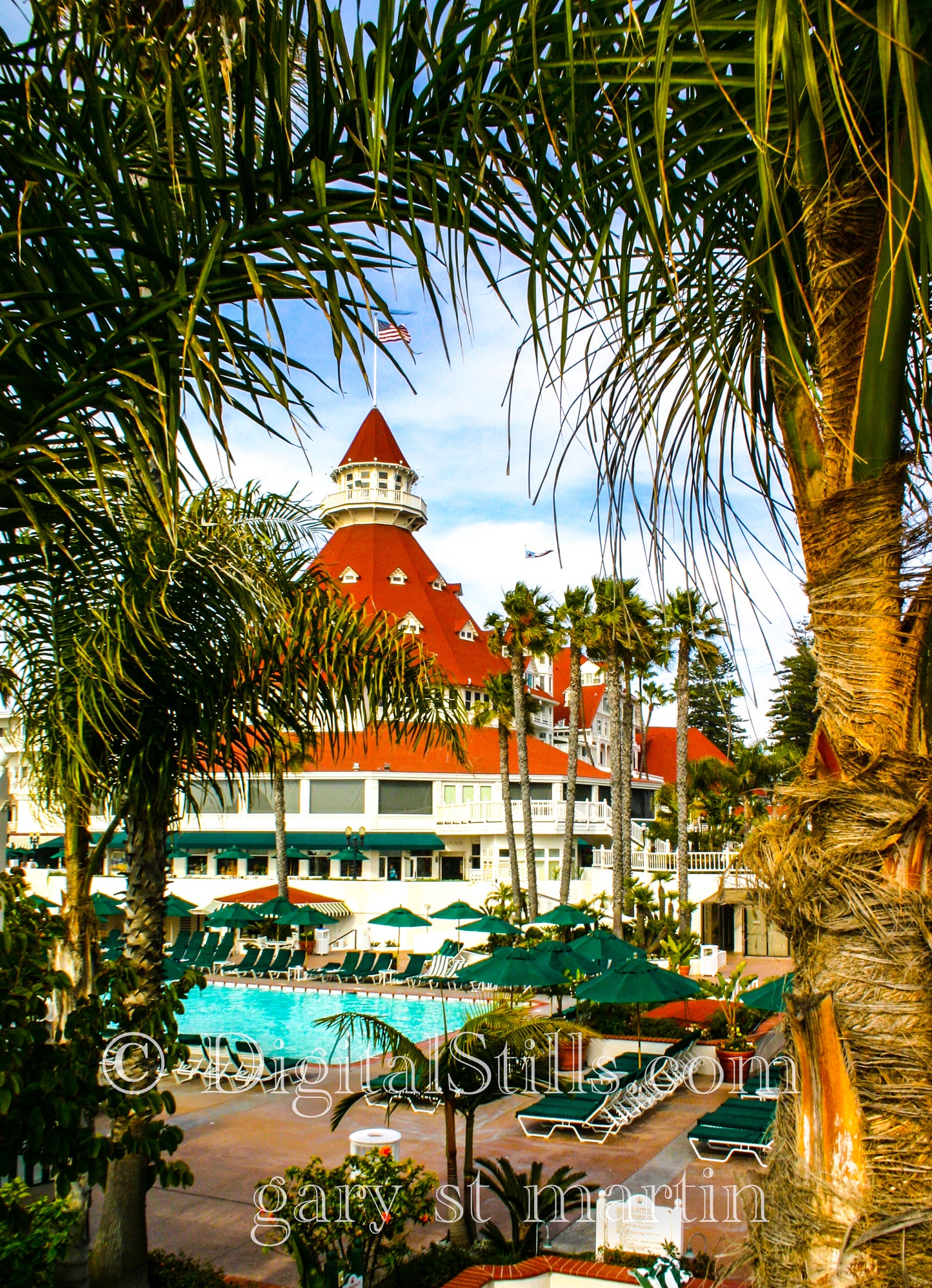 Hotel Del Looking Through the Palms