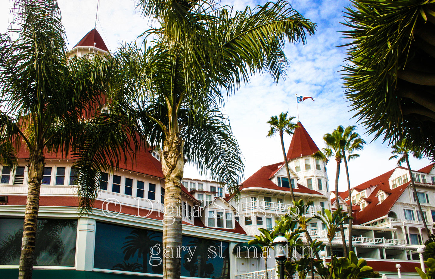 Hotel Del Front Through the Palms