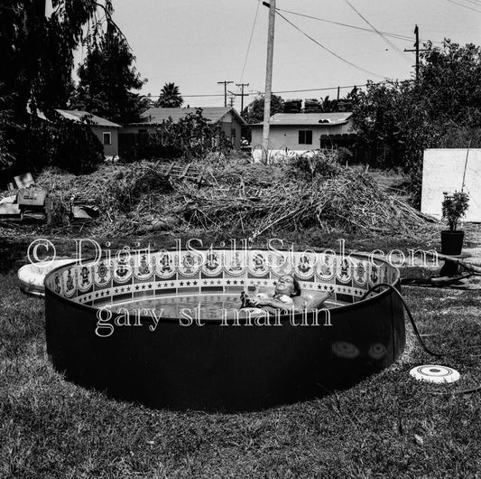 Diane Floating in the Pool Portrait Analog, Portraits, Women, B & W