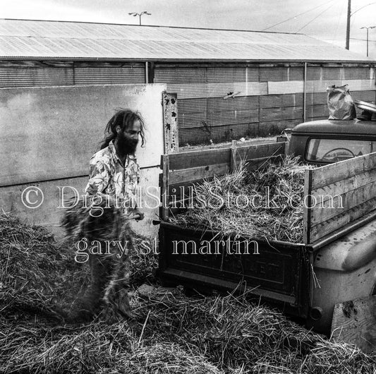 Joe Tossing Hay into Pick Up Truck, Analog, Portraits, Men, Black and White